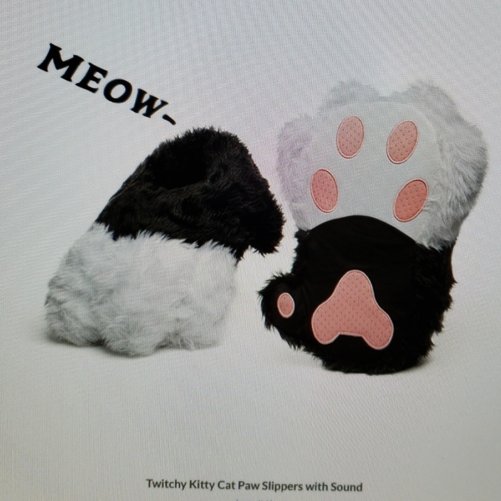 Talking cat slippers 😻